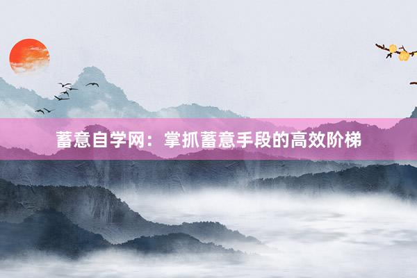 蓄意自学网：掌抓蓄意手段的高效阶梯