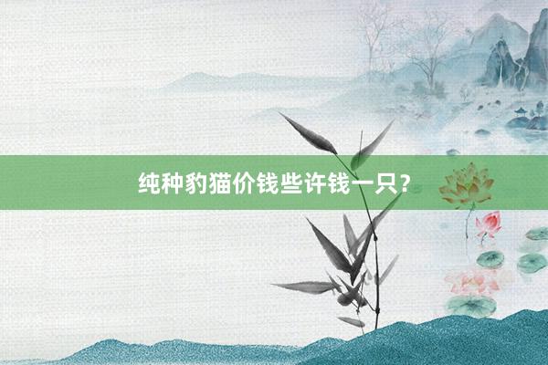 纯种豹猫价钱些许钱一只?